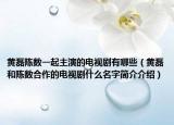 黄磊陈数一起主演的电视剧有哪些（黄磊和陈数合作的电视剧什么名字简介介绍）