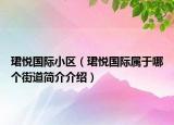 珺悦国际小区（珺悦国际属于哪个街道简介介绍）