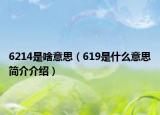6214是啥意思（619是什么意思简介介绍）