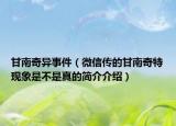 甘南奇异事件（微信传的甘南奇特现象是不是真的简介介绍）