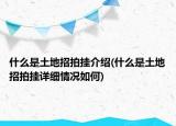 什么是土地招拍挂介绍(什么是土地招拍挂详细情况如何)