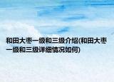 和田大枣一级和三级介绍(和田大枣一级和三级详细情况如何)