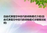 自由式滑雪空中技巧的训练模式介绍(自由式滑雪空中技巧的训练模式详细情况如何)