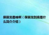 保丽龙是啥啊（保丽龙到底是什么简介介绍）