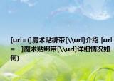 [url=(]魔术贴绑带[\url]介绍 [url=   ]魔术贴绑带[\url]详细情况如何)