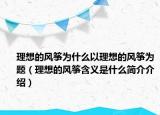 理想的风筝为什么以理想的风筝为题（理想的风筝含义是什么简介介绍）
