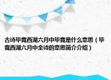 古诗毕竟西湖六月中毕竟是什么意思（毕竟西湖六月中全诗的意思简介介绍）