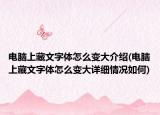电脑上藏文字体怎么变大介绍(电脑上藏文字体怎么变大详细情况如何)
