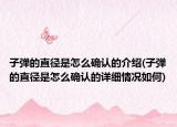 子弹的直径是怎么确认的介绍(子弹的直径是怎么确认的详细情况如何)