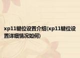 xp11键位设置介绍(xp11键位设置详细情况如何)