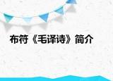 布符《毛译诗》简介