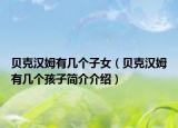 贝克汉姆有几个子女（贝克汉姆有几个孩子简介介绍）