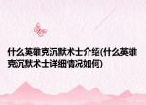 什么英雄克沉默术士介绍(什么英雄克沉默术士详细情况如何)