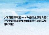 小学英语课本里recycle是什么意思介绍(小学英语课本里recycle是什么意思详细情况如何)