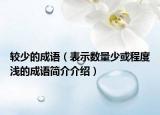 较少的成语（表示数量少或程度浅的成语简介介绍）