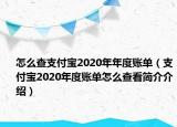 怎么查支付宝2020年年度账单（支付宝2020年度账单怎么查看简介介绍）