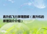 直升机飞行原理图解（直升机的原理简介介绍）