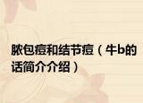 脓包痘和结节痘（牛b的话简介介绍）