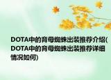 DOTA中的育母蜘蛛出装推荐介绍(DOTA中的育母蜘蛛出装推荐详细情况如何)