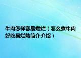 牛肉怎样容易煮烂（怎么煮牛肉好吃易烂熟简介介绍）