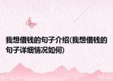我想借钱的句子介绍(我想借钱的句子详细情况如何)