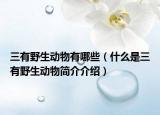 三有野生动物有哪些（什么是三有野生动物简介介绍）