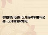 鄂钢的标记是什么介绍(鄂钢的标记是什么详细情况如何)
