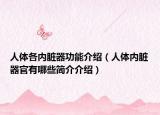 人体各内脏器功能介绍（人体内脏器官有哪些简介介绍）