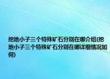 挖地小子三个特殊矿石分别在哪介绍(挖地小子三个特殊矿石分别在哪详细情况如何)