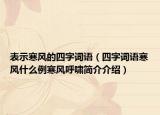 表示寒风的四字词语（四字词语寒风什么例寒风呼啸简介介绍）