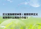 正义宝珠哪里掉落（魔兽世界正义宝珠有什么用简介介绍）