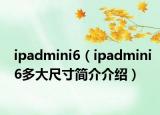 ipadmini6（ipadmini6多大尺寸简介介绍）