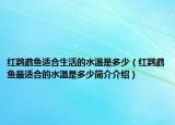 红鹦鹉鱼适合生活的水温是多少（红鹦鹉鱼最适合的水温是多少简介介绍）