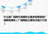 什么是广域网它有哪些主要类型典型的广域网有哪些（广域网的主要特点简介介绍）