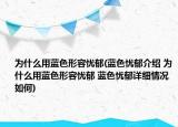 为什么用蓝色形容忧郁(蓝色忧郁介绍 为什么用蓝色形容忧郁 蓝色忧郁详细情况如何)