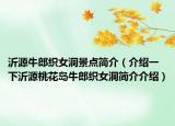 沂源牛郎织女洞景点简介（介绍一下沂源桃花岛牛郎织女洞简介介绍）
