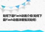 如何下载Flash动画介绍(如何下载Flash动画详细情况如何)