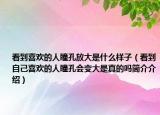 看到喜欢的人瞳孔放大是什么样子（看到自己喜欢的人瞳孔会变大是真的吗简介介绍）
