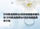 针对佩洛西窜台8项反制措施详细内容 针对佩洛西窜台8项反制措施具体介绍