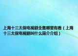 上海十三太保电视剧全集哪里有看（上海十三太保电视剧叫什么简介介绍）