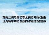 烟雨江湖龟息功怎么获得介绍(烟雨江湖龟息功怎么获得详细情况如何)