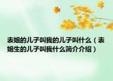 表姐的儿子叫我的儿子叫什么（表姐生的儿子叫我什么简介介绍）