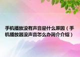 手机播放没有声音是什么原因（手机播放器没声音怎么办简介介绍）