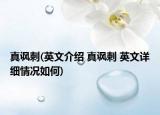 真讽刺(英文介绍 真讽刺 英文详细情况如何)