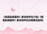 《我真的很爱你》歌词徐怀钰介绍(《我真的很爱你》歌词徐怀钰详细情况如何)