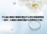 什么是小数的计数单位表示什么意义你能举例说一说吗（小数的计数单位是什么意思简介介绍）