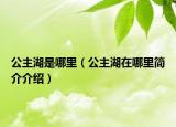 公主湖是哪里（公主湖在哪里简介介绍）