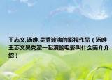 王志文,汤唯,吴秀波演的影视作品（汤唯王志文吴秀波一起演的电影叫什么简介介绍）