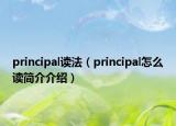 principal读法（principal怎么读简介介绍）