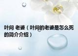 叶问 老婆（叶问的老婆是怎么死的简介介绍）